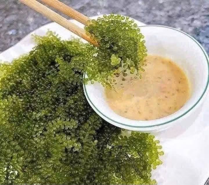 Chấm sốt mè giòn rụm