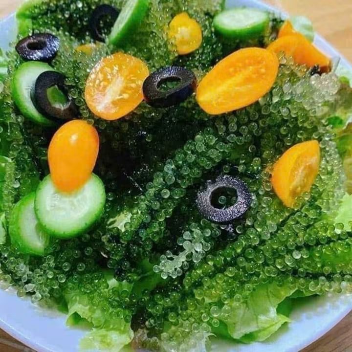 Đĩa salad rong nho Eat Clean